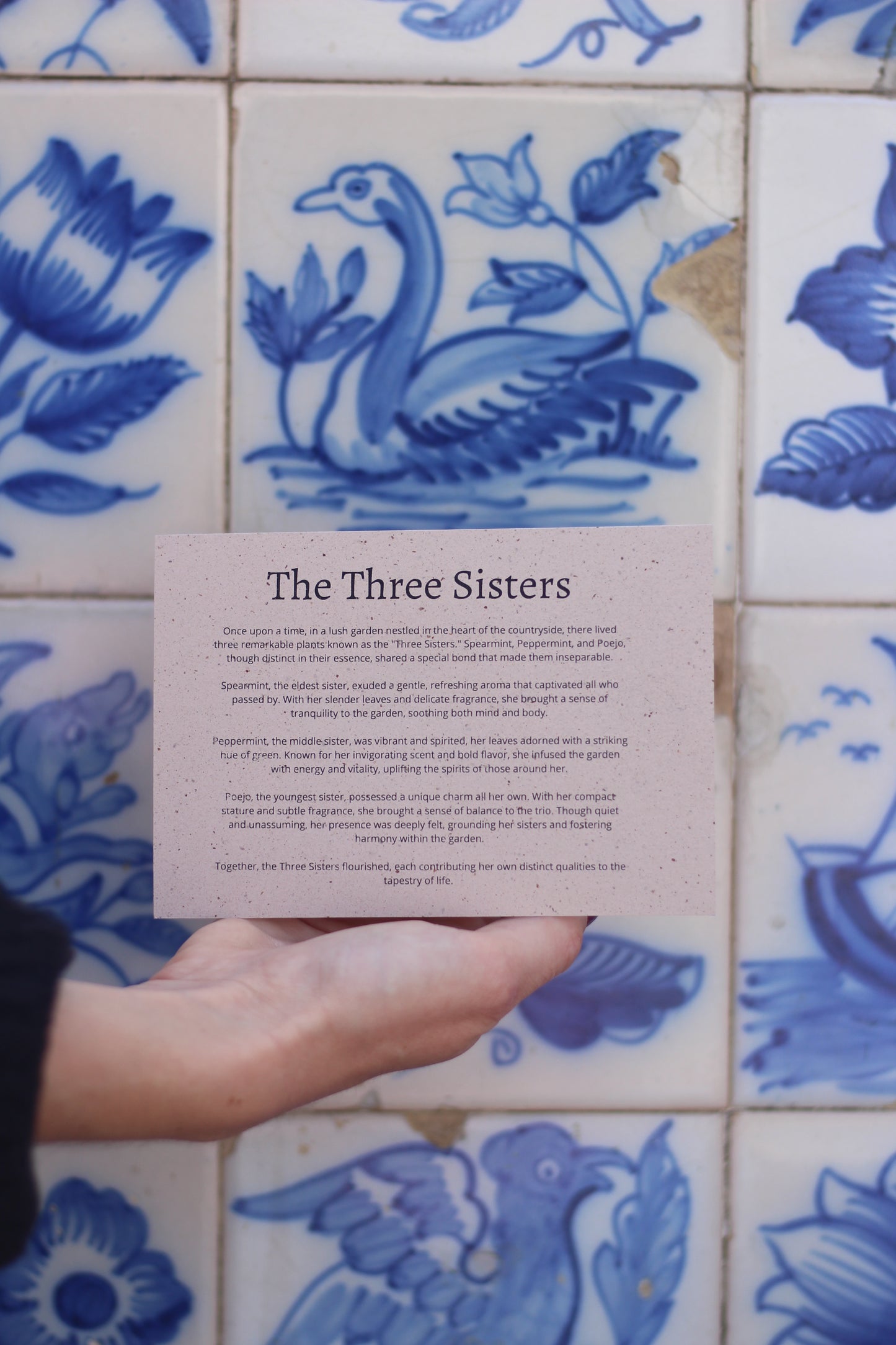 The Three Sisters Bundle