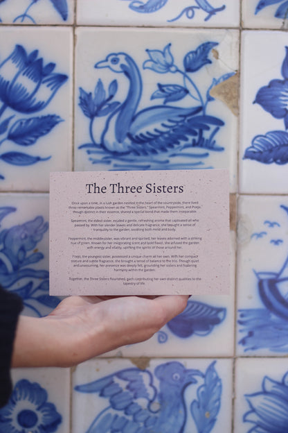 The Three Sisters Bundle